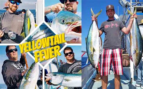 Newport Beach Deep Sea Fishing Information Call 949 675 0550