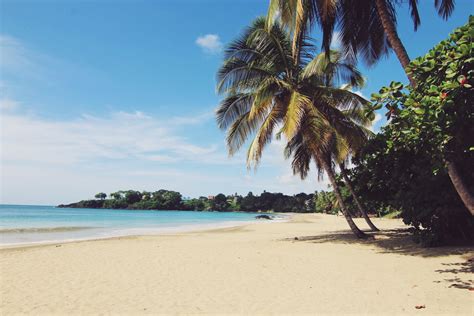 30 Things To Do In Tobago Caribbean