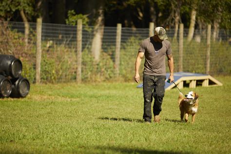 Canine Battle Buddy Training Program - Charlie Mike