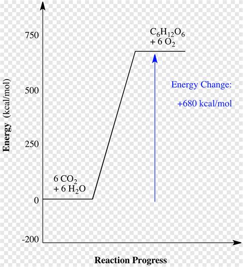 Hydrolysis Of Atp Formula