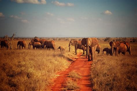 Tsavo East National Park | Join Up Safaris