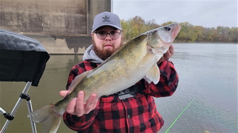 Trolling Crankbaits For Chunky Ohio River Walleye Saugeye Youtube