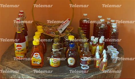 Producción de miel y precio se desplomaron en comparación al año pasado