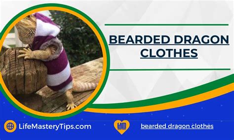 Bearded Dragon Clothes: Adding Style And Comfort To Your Reptilian ...