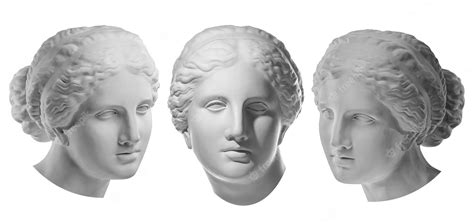 Premium Photo Three White Gypsum Copy Of Ancient Statue Of Venus De Milo Head For Artists