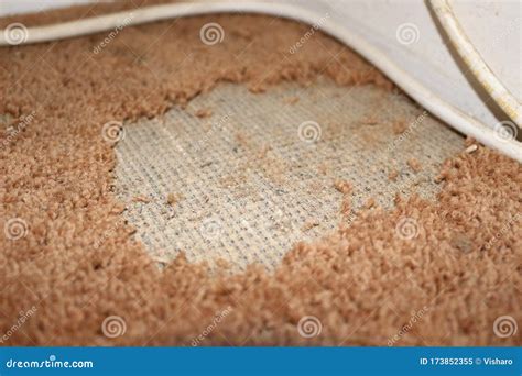 Carpet moth damage stock image. Image of damage, close - 173852355