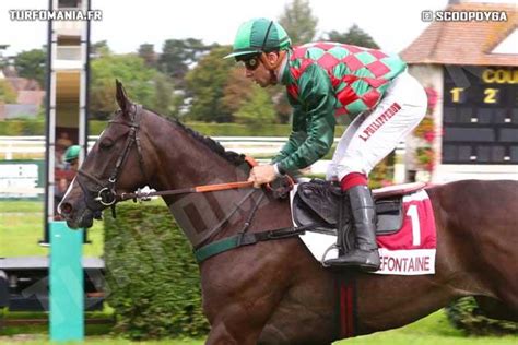 Raffles Nobu Cheval Retrouvez Toutes Les Performances De Raffles Nobu