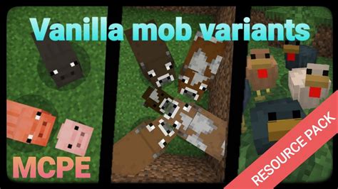 Vanilla Mob Variants Great Bedrock Edition Resource Pack YouTube