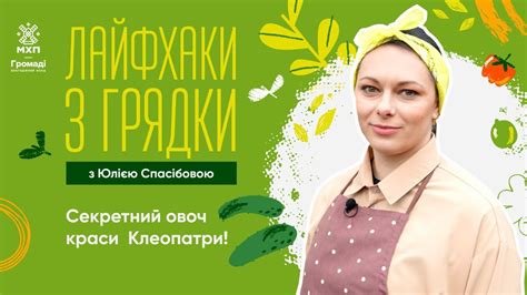 Як виростити НЕ гіркі ОГІРКИ | “Лайфхаки з грядки” від блогерки ...