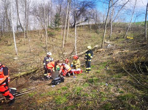 Tragedia przy wycince drzew w Karwodrzy Spadający konar drzewa uderzył