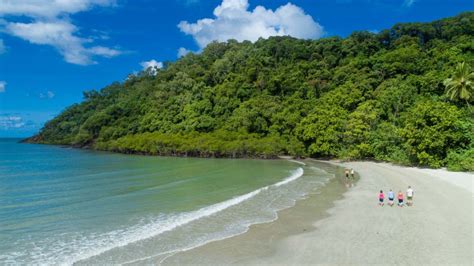 From Cairns Daintree Rainforest And Cape Tribulation 4wd Tour Getyourguide