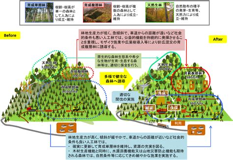 多様な森林づくり見える化プロジェクト：四国森林管理局