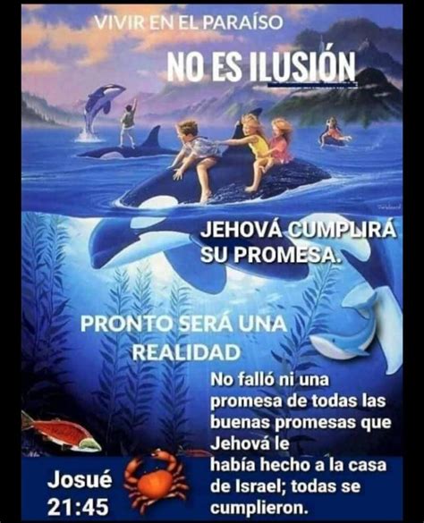 Pin de Martha Paleo en paraiso Humor testigos de jehová Videos