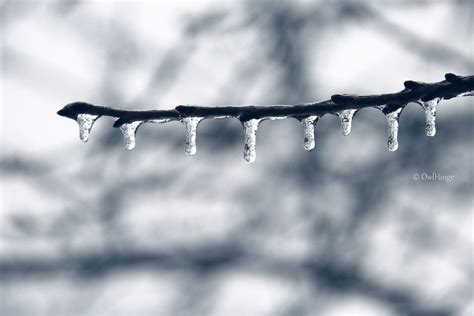 Fondos De Pantalla Agua Cielo Nieve Invierno Rama Hielo Bokeh