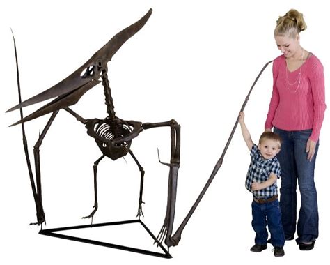 Pteranodon longiceps Sculpted Skeleton – Display Replica – Black Hills Institute