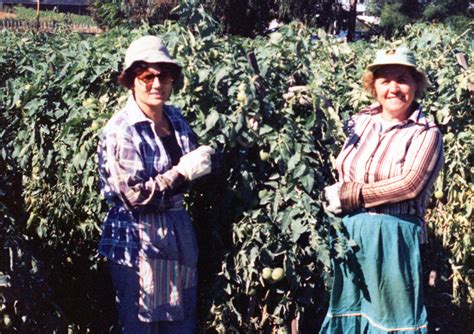 West Australian Corn Growers