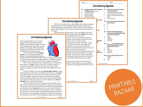 Circulatory System Reading Comprehension Passage And Questions Pdf