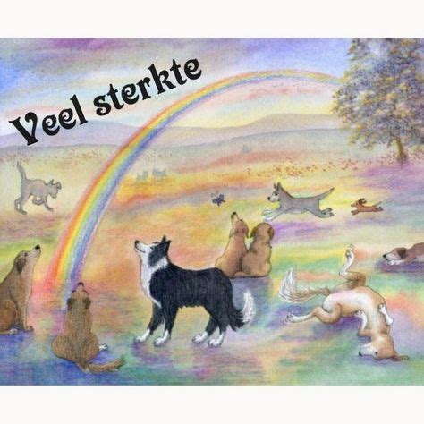 Pin Van Chantal Wouters Op Gecondoleerd Kaartjes Bordercollies