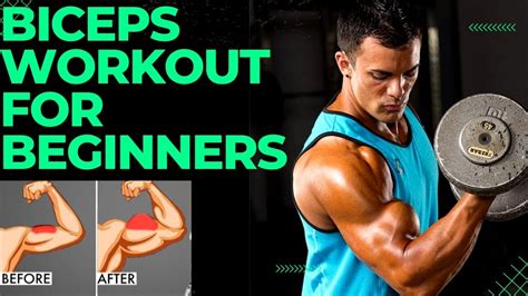 The Best Biceps Workout For Beginners Intermediates Biceps Workout