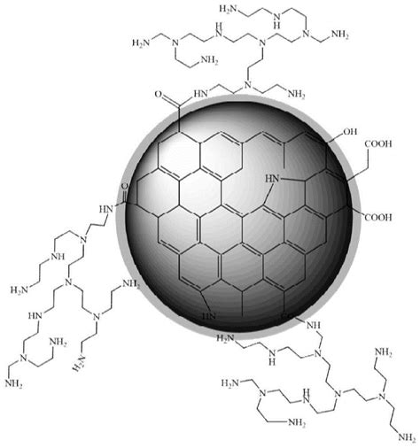 一种氮掺杂功能化碳量子点的高效制备方法与流程