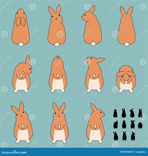 Set Of Rabbit Sitting Poses Stock Vector Illustration Of Tail