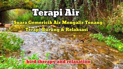 Terapi Air Relaksasi Gemericik Air Mengalir Tenang Suara Air