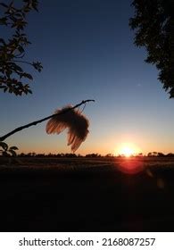 White Angel Wings Sunset Background Stock Photo 2168087257 | Shutterstock