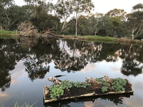 Darebin Parklands | Trail Navigator Victoria