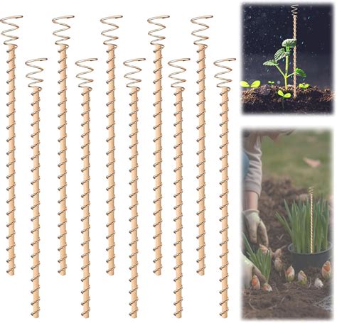 Amazon Pack Electroculture Copper Gardening Antenna Long