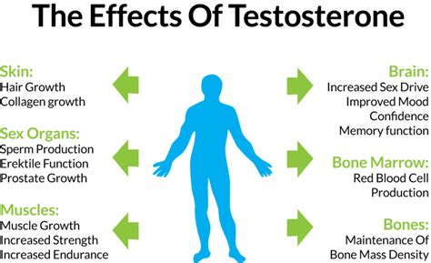 Total T Clinicstudy Looks At Effects Of Testosterone Loss Total T Clinic