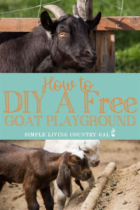 How to build a goat playground for free! | Goat playground, Goats, Goat ...