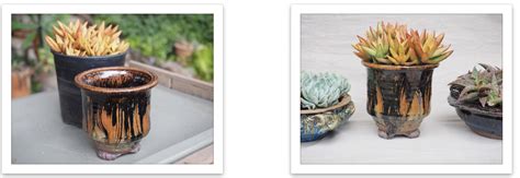 Perfect Succulent Art Pot Pairings Debra Lee Baldwin