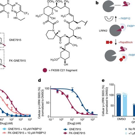 Programmable Kinase Inhibition With Fkbp Dependent Kinase Inhibitors