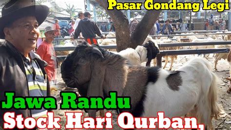 UPDATE HARGA KAMBING HARI INI DI PASAR HEWAN GONDANG LEGI MALANG