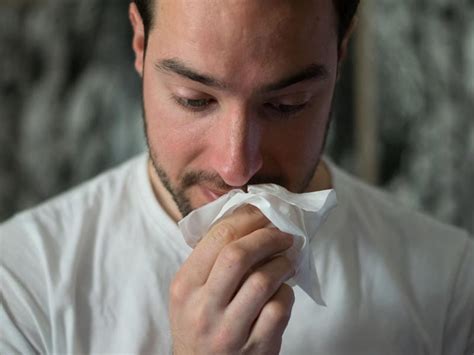 5 Tips To Defeat Seasonal Allergies At Home