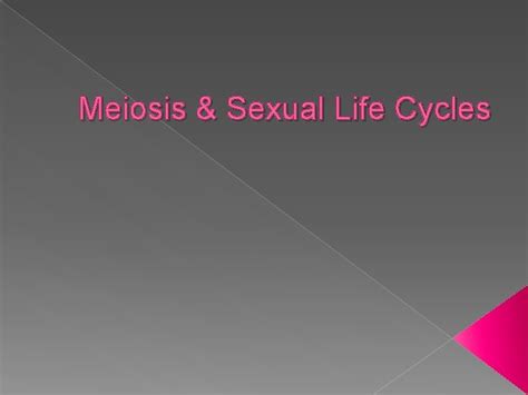 Meiosis Sexual Life Cycles Inheritance Of Genes Units