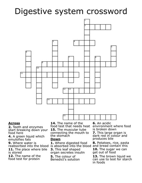 DIGESTIVE SYSTEM CROSSWORD WordMint