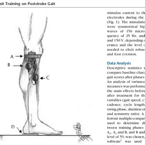 Electrode Positions A Electronic Stimulator B Stimulation Download Scientific Diagram