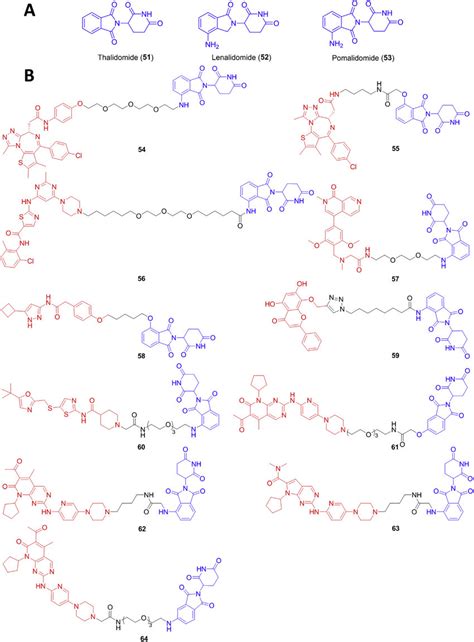 Crbn Cereblon Ligands 51e53 And Crbn Protacs 54e64 A Development Download Scientific