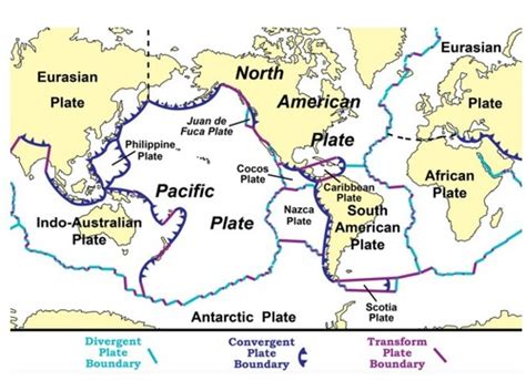 Tectonic Hazards Case Study Flashcards Quizlet