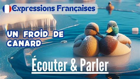 Un Froid De Canard Apprendre Les Expressions Comme Une Parisienne