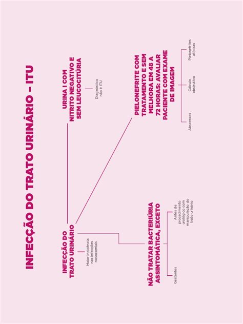 Mapa Mental Infecção Do Trato Urinário Itu Pdf Pdf