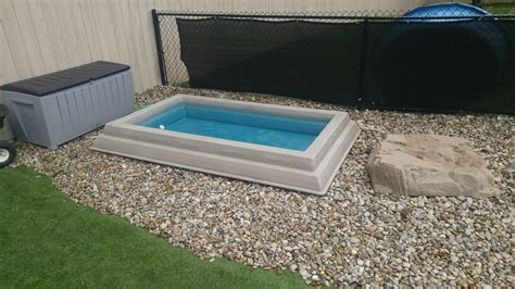 gyms for dogs cool splash pool | Pet Age