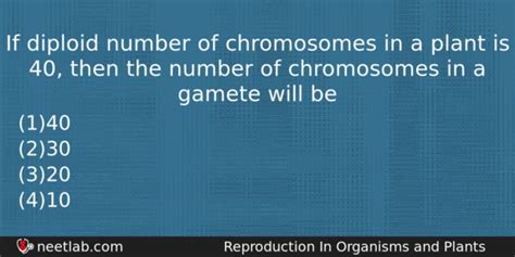 If diploid number of chromosomes in a plant is 40, then the number of ...