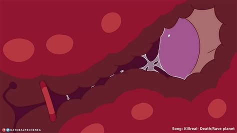 Furry Futa Porn With Bear And Mouse XNXX