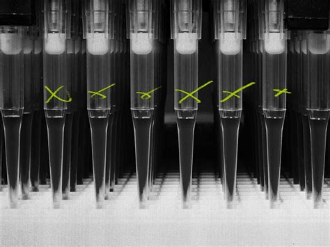 Molecular testing: How it works, types, and more