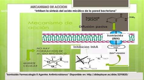 F Rmacos Antituberculosos Ppt