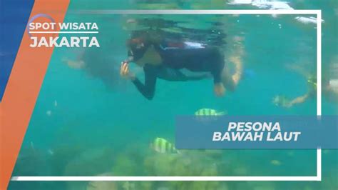 Mengintip Indahnya Surga Bawah Laut Pulau Macan Kepulauan Seribu