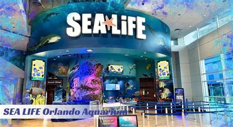 Top 12 Indoor Activities Orlando: Fun for All Ages
