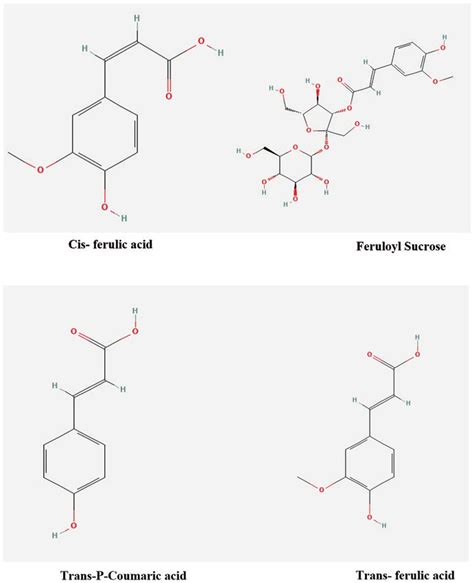 5 Structure of some essential phenolic acids in BR | Download ...